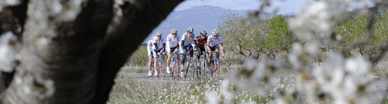 Sports Europe Cycling Tours and Training Camps in Europe.